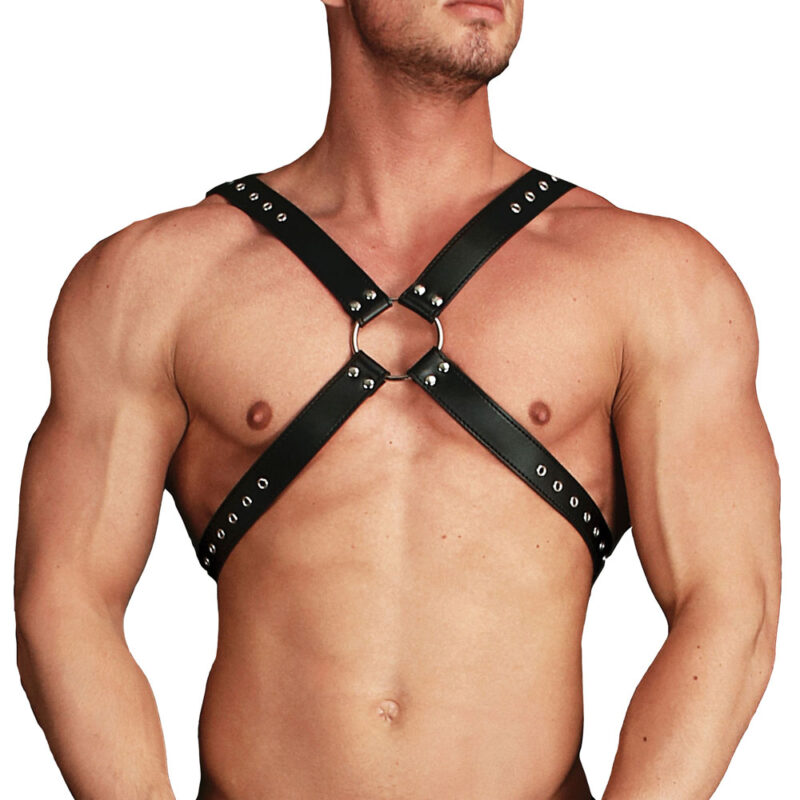 | Ouch Adonis High Halter Harness