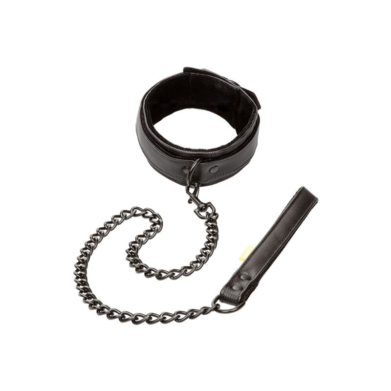 | Boundless Collar and Leash